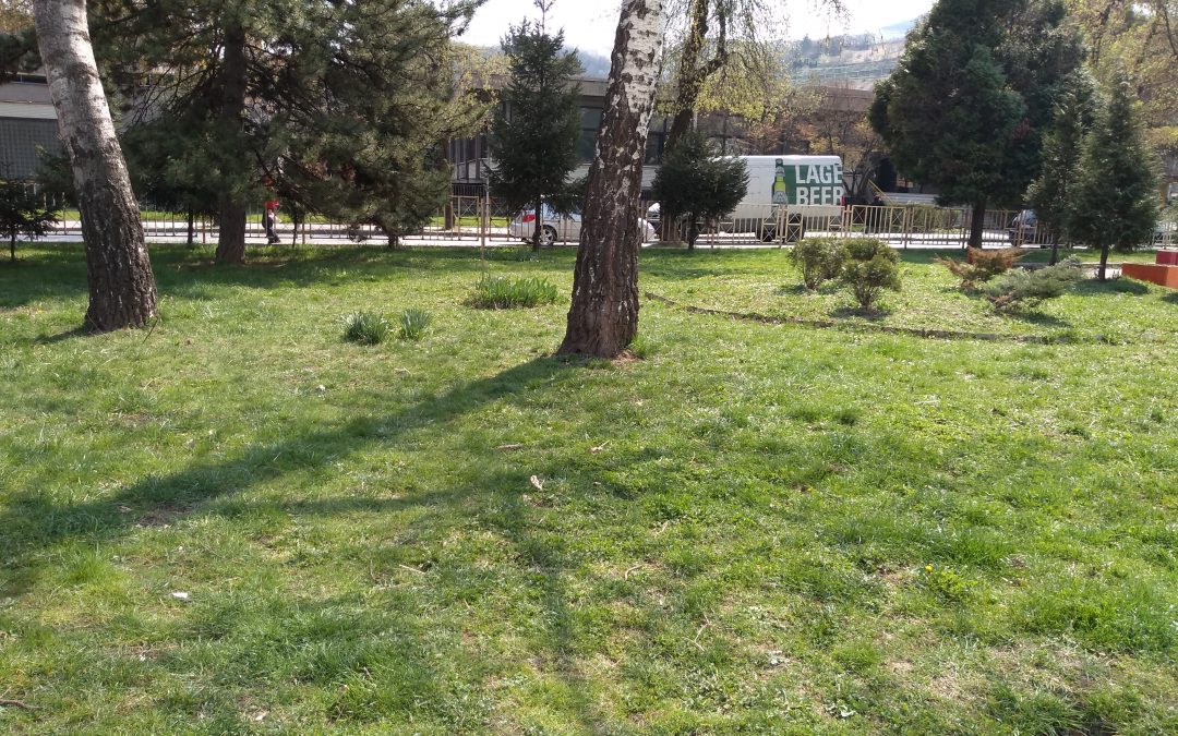 Čišćenje dvorišta škole